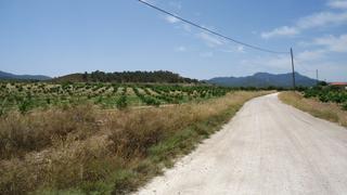 Rural plot in Jumilla. Parcela urbanizable de 14.130 m en el campo de jumilla, con agua