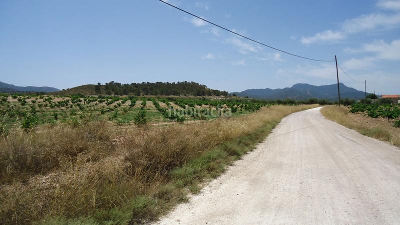 Foto 15f5828e-5893-4020-a88f-eea5ff3f73d2. Rural plot in Jumilla