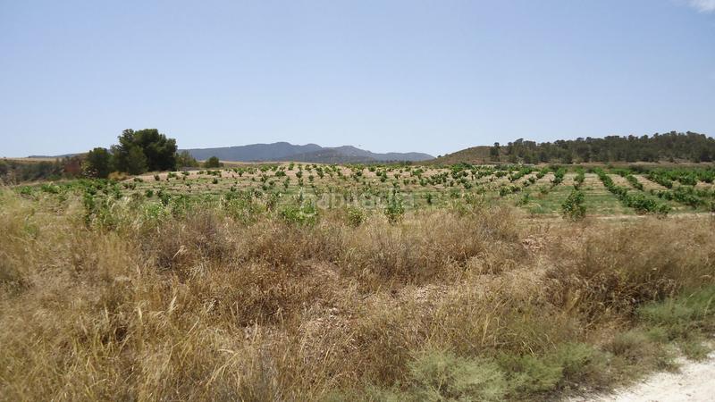 Foto 1c60387f-b2fd-47b8-bb3a-294955ce0c7d. Rural plot in Jumilla