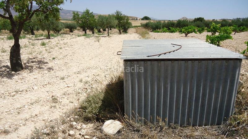Foto 47181cf1-6998-43b7-9058-11d5feb06e9e. Rural plot in Jumilla