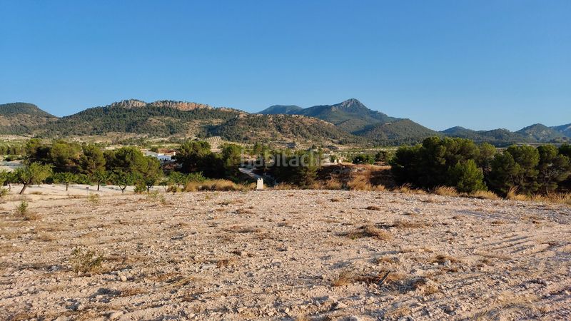 Foto 1b9c3473-05cd-4e45-a0ae-048ace3f4e73. Finca rústica a Jumilla