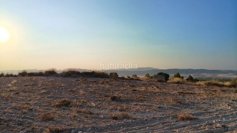Foto 6a87072e-f699-488c-a17a-2ef38eddfece. Finca rústica a Jumilla
