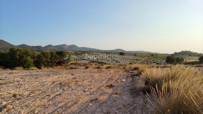 Foto 6af792ed-81e6-4d2c-829c-4d6d1cdb0c15. Finca rústica a Jumilla