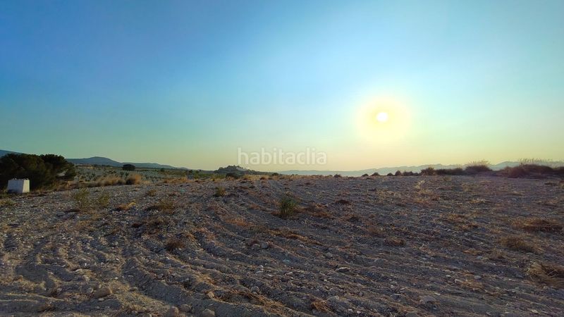 Foto 9be676aa-c46b-40e8-9111-e8bd78462228. Finca rústica a Jumilla