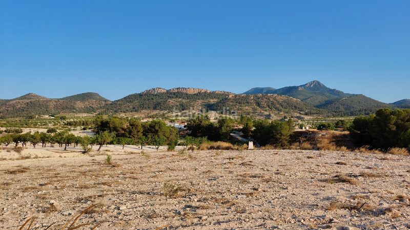 Foto b058b2d8-9a37-4dcc-8cd5-77f9182c51f0. Finca rústica a Jumilla