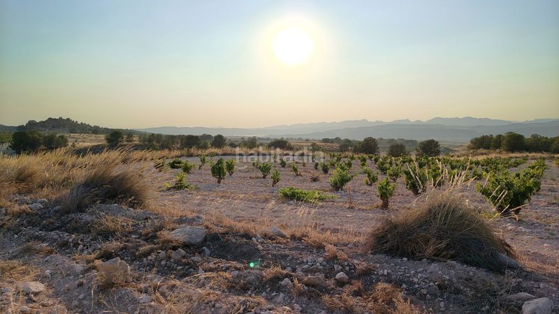 Foto ce0b4b8f-b936-4e1a-9f7c-0f451dc8c7e7. Finca rústica a Jumilla