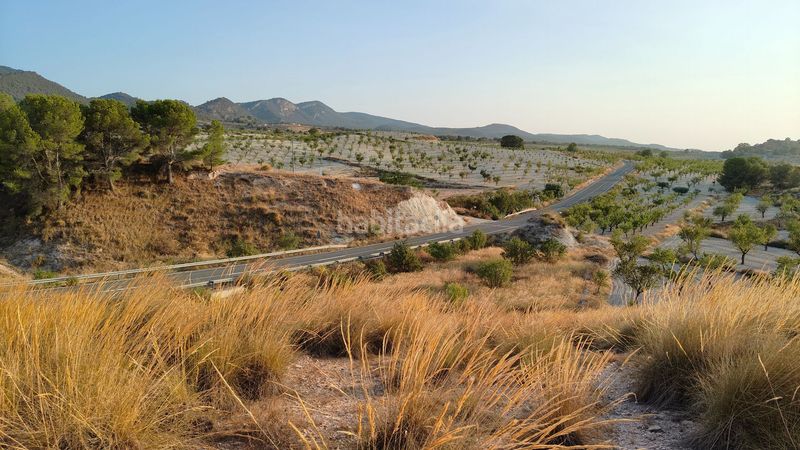 Foto d985c4a5-ed24-4eec-bae2-d5a329806553. Finca rústica a Jumilla