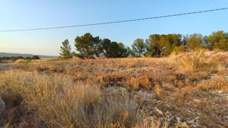 Rural plot in Jumilla. Parcela urbanizable de 10.819 m en el campo de jumilla, con vist