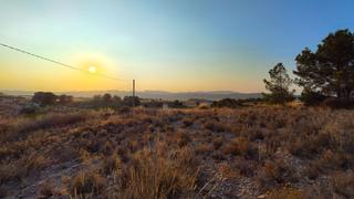 Rural plot in Jumilla. Parcela urbanizable de 10.819 m en el campo de jumilla, con vist
