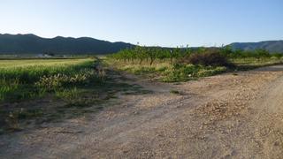 Rural plot in Yecla. Finca de regadío de 13.192 m con almendros en producción en yecl