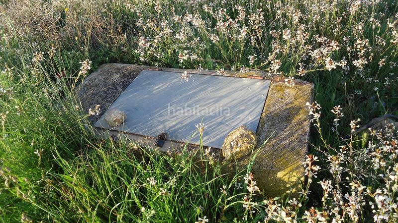 Foto c89aa4e3-dfdc-4def-a5e6-76861bb6abd6. Finca rústica a Yecla