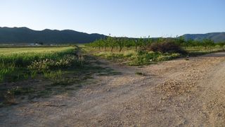 Finca r�stica en Yecla. Finca de regad�o de 13.192 m con almendros en producci�n en yecl