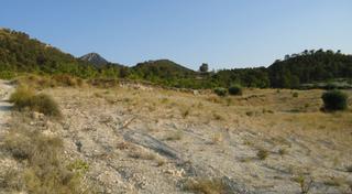 Rural plot in Jumilla. Terreno de 13.181 m con vistas cerca de la sierra de la pila, ju
