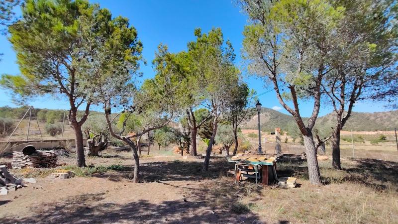 Foto 3e297b5b-2623-4b76-a082-b655d8c17dee. Casa a Abanilla