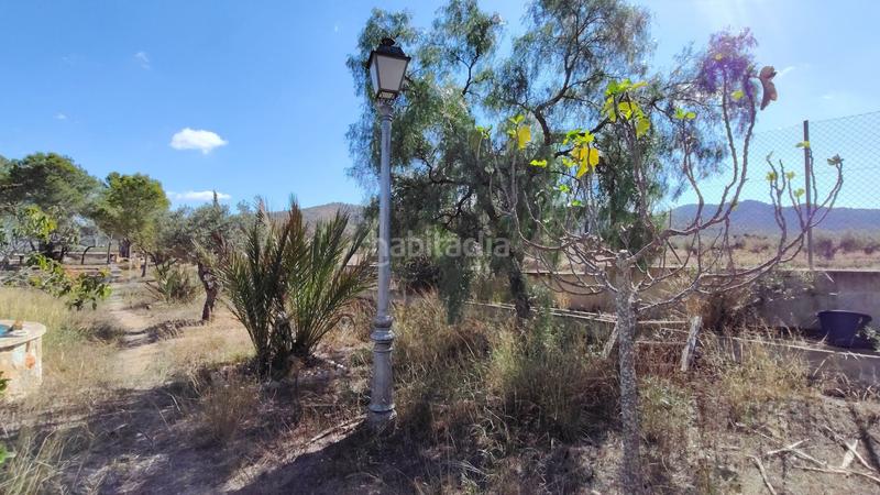 Foto 44d736ed-7bdc-418b-a39e-ae2db9cdb1f4. Casa a Abanilla