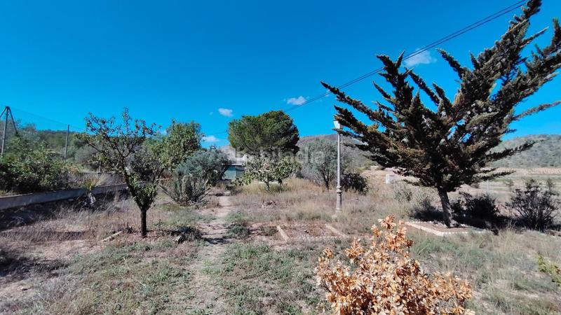 Foto c7a82eb0-6ad4-4591-9810-10849311f492. Casa a Abanilla