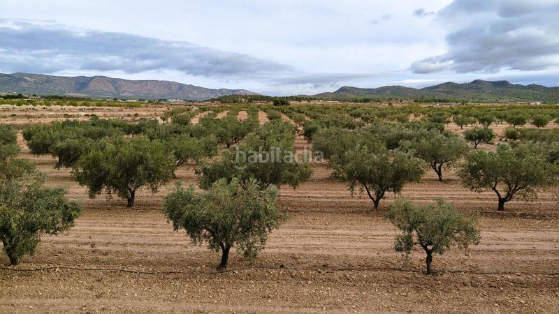 Foto 5d0915d3-817c-4674-9149-02a4541194c3. Finca rústica a Monòver