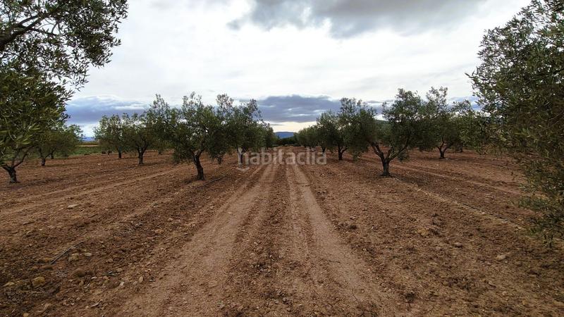 Foto 7d938477-2814-4721-aac8-733afe9c02fa. Finca rústica a Monòver