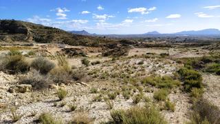 Finca rústica a Fortuna. Terreno de 1.777 m en zona de montaña en fortuna, murcia