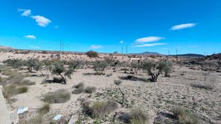 Rural plot in Campo Alto-Club de Campo. Terreno de 20.567 m con olivos entre los polígonos industriales