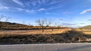 Finca r�stica en Yecla. Parcela de 8.886 m con almendros de secano en raspay, yecla