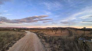 Finca r�stica en Yecla. Parcela de 7.700 m con almendros de secano en raspay, yecla