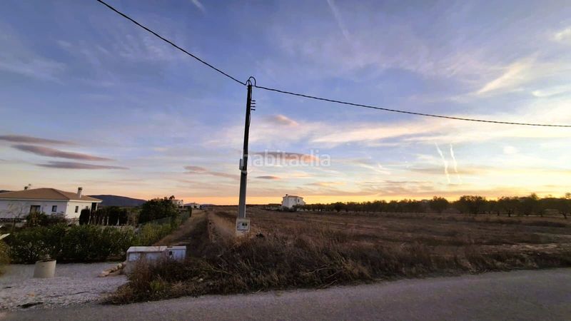 Foto a319ee1d-dd71-4735-9625-f4e116aa6294. Finca rústica a Pinoso