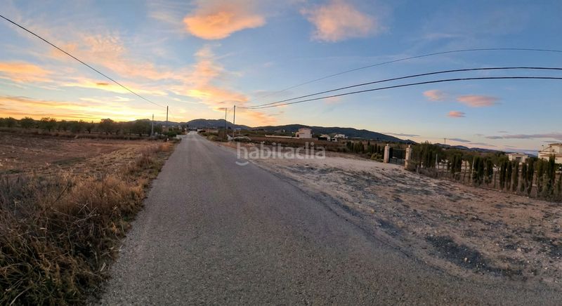 Foto f00f5119-b9d5-4e4f-89dc-23c1a87b977c. Finca rústica a Pinoso