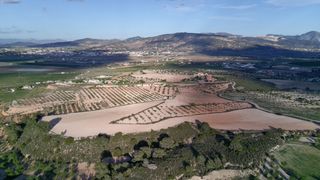 Finca rústica a Pinoso. Parcela urbanizable de 29.575 m con agua de riego y almendros en