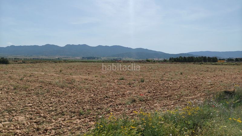 Foto 23a854c5-8c7f-48b4-bf02-6c53d71078d7. Finca rústica a Yecla