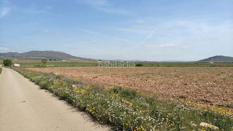 Foto 6b6462a4-5931-4a0a-83cc-f5014d55d125. Finca rústica a Yecla