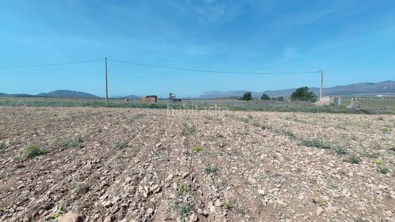 Foto caf11d6e-318e-4b62-847b-19c184504f71. Finca rústica a Yecla
