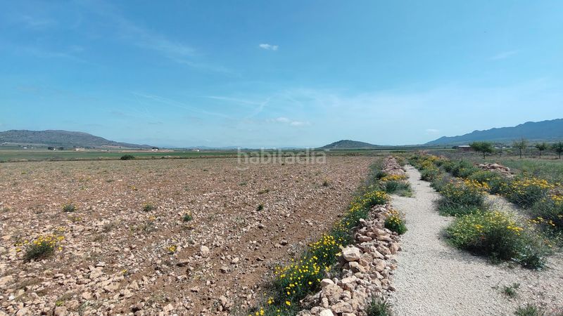 Foto e0a24f2d-643f-4e90-89fe-e26c8ca381b4. Finca rústica a Yecla
