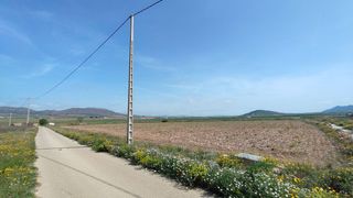 Finca rústica a Yecla. Parcela urbanizable de 14.243 m en las gamellejas, yecla