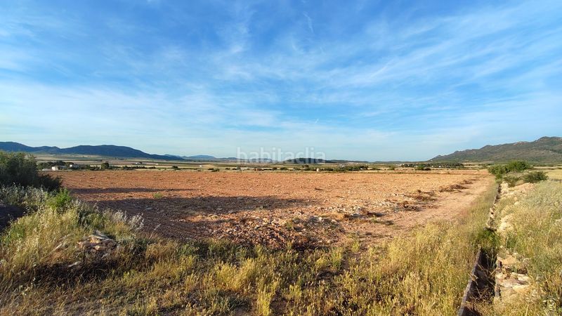 Foto 30a39948-64e3-46e8-90e2-b8ffc7687ac7. Finca rústica a Yecla