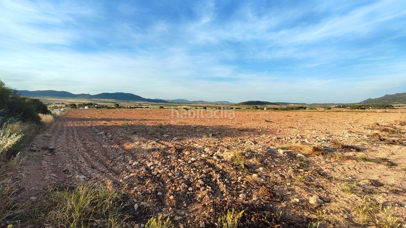 Foto 4532f927-055f-499a-b6a9-ac0430fb0027. Finca rústica a Yecla
