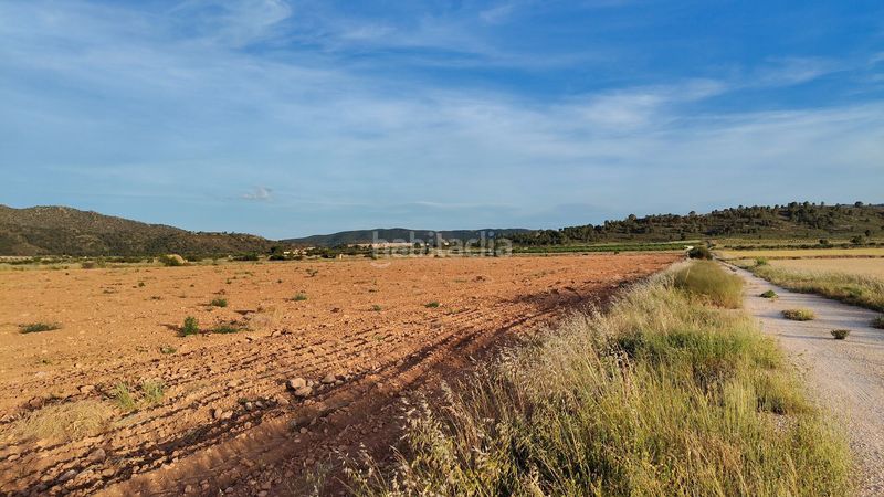 Foto 6acea9d5-bbae-4b8e-9712-361ffe92c705. Finca rústica a Yecla