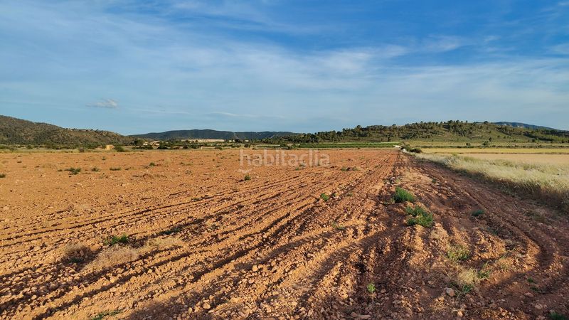 Foto 9289bdd2-a492-4ac3-847a-3f0a4e2a2e66. Finca rústica a Yecla