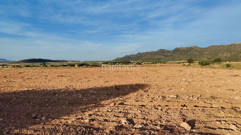 Foto ab0a9fc4-b040-4000-8aa8-7b634e546fad. Finca rústica a Yecla