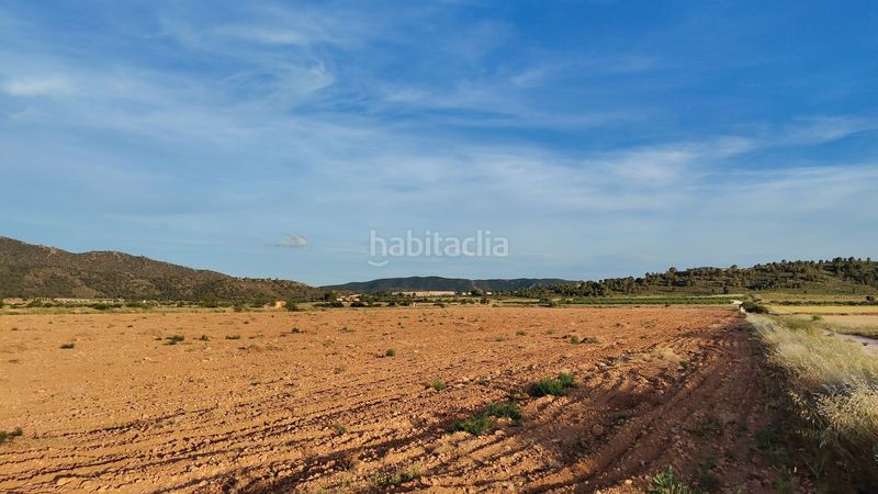 Foto b5ef0a35-579c-47eb-97c5-7a338eb99ffa. Finca rústica a Yecla