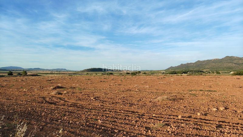 Foto cbb71723-2962-40b5-b7c2-5d6eb8e0e76a. Finca rústica a Yecla
