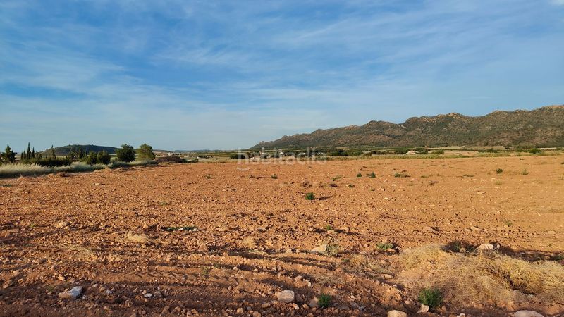 Foto eef70256-eab3-4bb8-90c1-62af43db6387. Finca rústica a Yecla