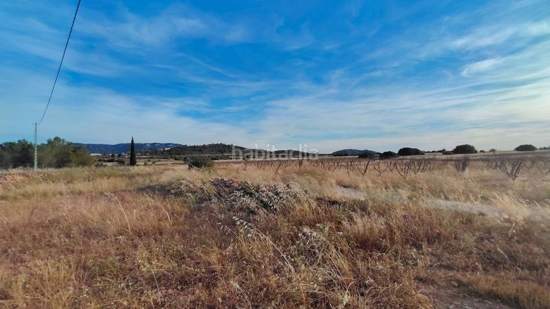Foto 68b85098-aec7-4f18-b7b6-011bfd28a685. Finca rústica a Yecla