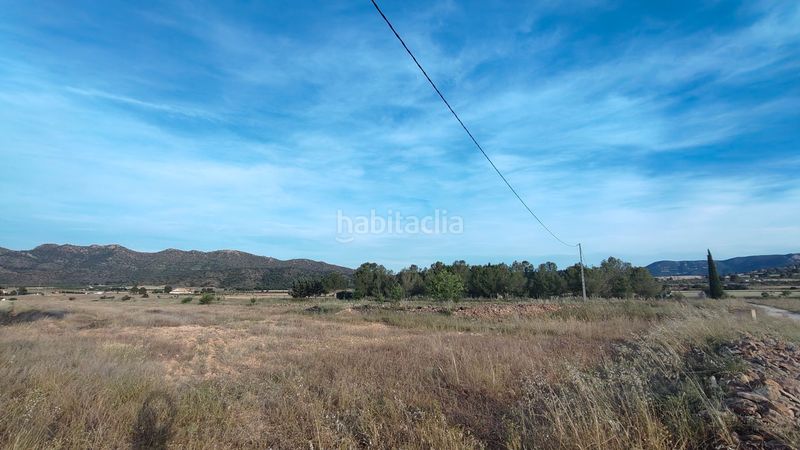 Foto 7c40ae95-945d-4834-bbfa-7fb42919690e. Finca rústica a Yecla