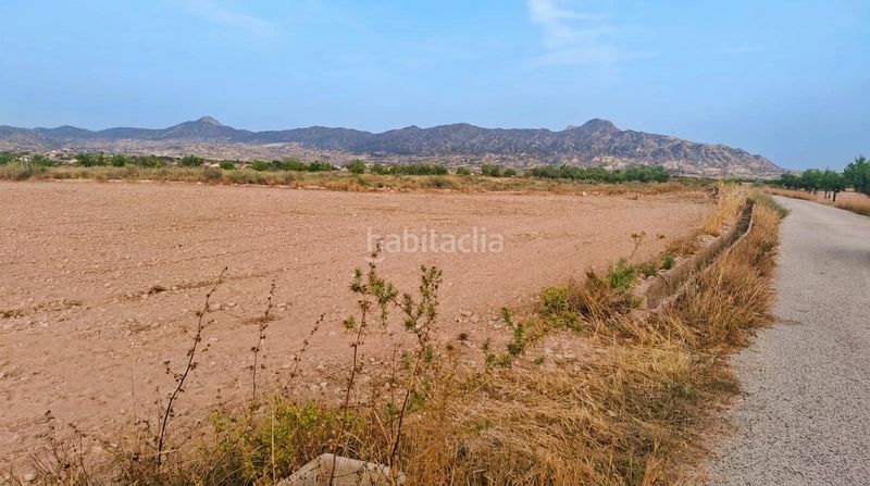 Foto f0f85fd0-a71c-4928-9916-a4fbdcecf8ed. Finca rústica a Abanilla