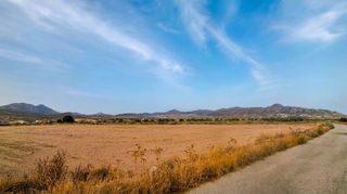Rural plot in Abanilla. Estupenda parcela urbanizable de 10.235 m en el salado de mahoya
