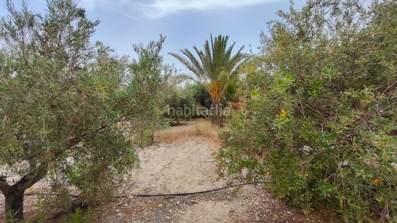 Foto 07dcc962-e53b-471c-abd9-c9691e757684. Casa a Abanilla