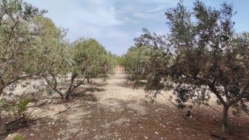 Foto acbb0492-fe6b-498f-b55a-ac2ff42c3972. Casa a Abanilla