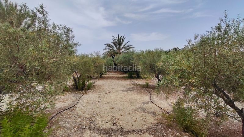 Foto d58bf58c-d967-4510-a5de-a8faee25a202. Casa a Abanilla