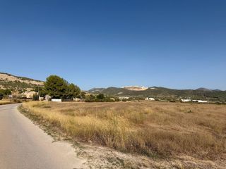 Finca rústica en Pinoso. Terreno urbanizable en pinoso con agua de riego y posibilidad de